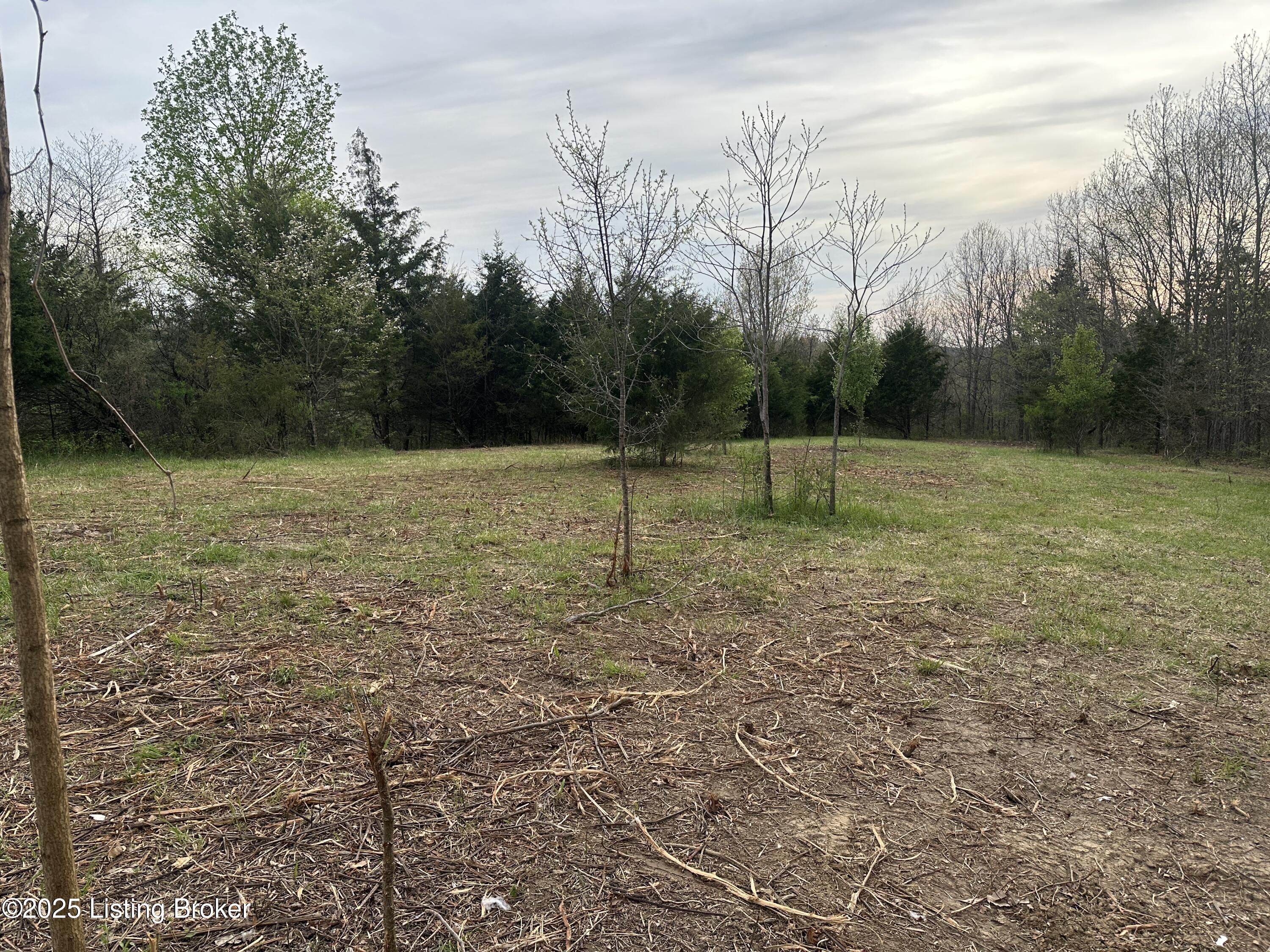 0 Lebanon Ridge Road Frankfort, KY 40601 - Photo 3 of 12 IMG_4654
