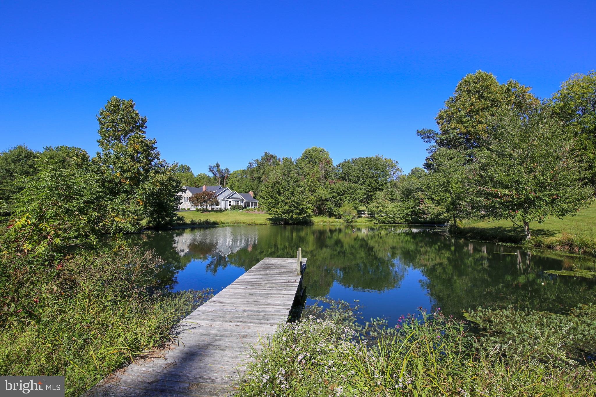 535 Springvale Road Great Falls, VA 22066 - Photo 5 of 80 Spring fed pond is perfect for fishing