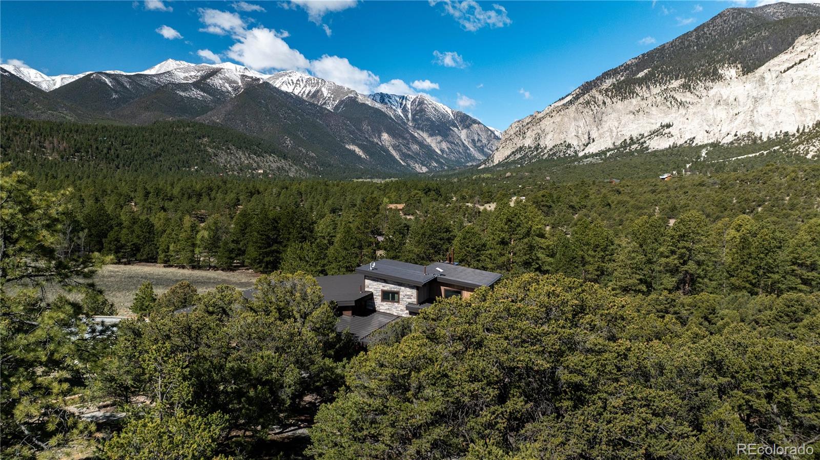21261 Broadview Road Nathrop, CO 81236 - Photo 3 of 49 a view of a forest with a mountain