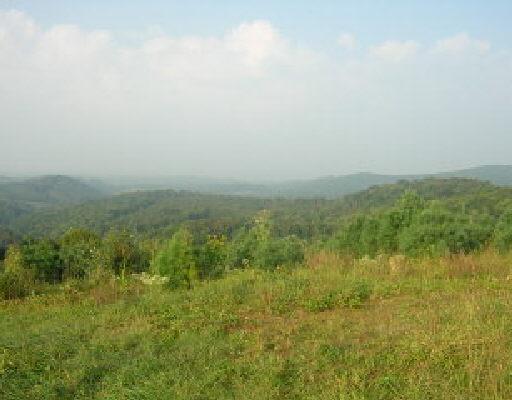 # Black Ridge Road Floyd, VA 24091 - Photo 1 of 1 a view of a field of grass and trees
