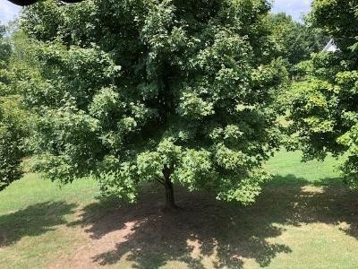319 Double S Road Dayton, TN 37321 - Photo 24 of 39 Gallery Image 24