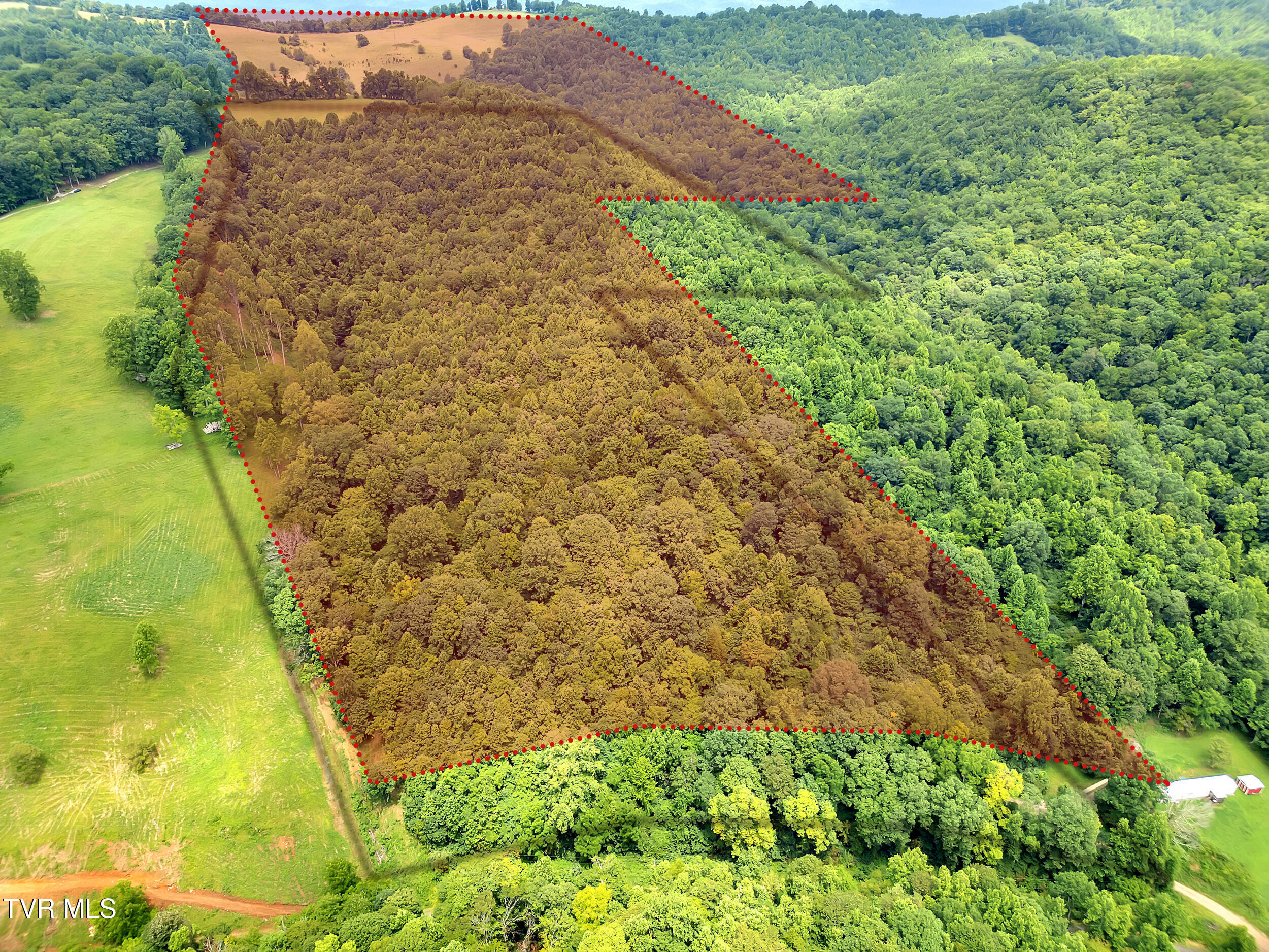 1859 Luray Road Gate City, VA 24251 - Photo 11 of 13 property line 1