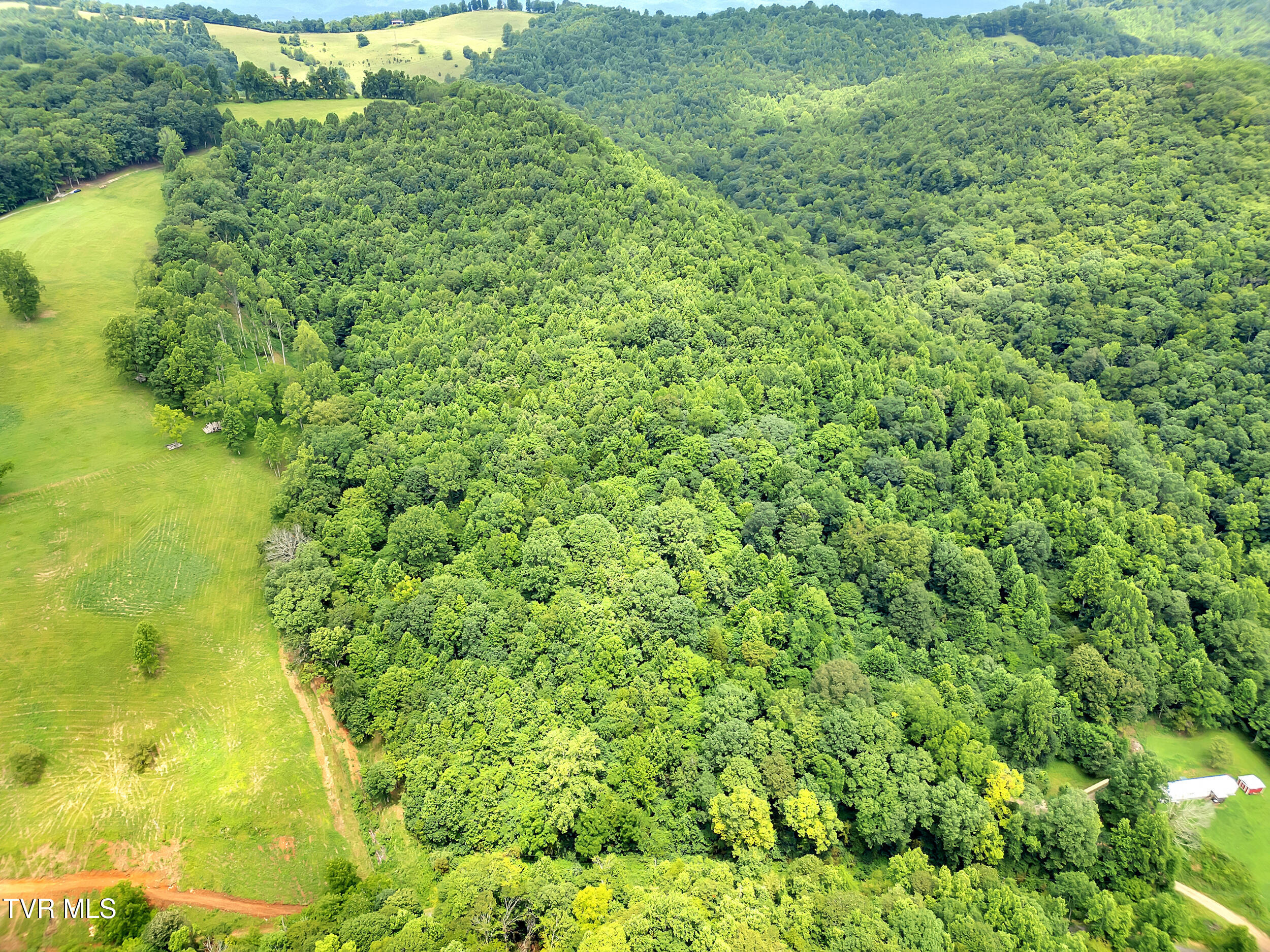 1859 Luray Road Gate City, VA 24251 - Photo 2 of 13 115