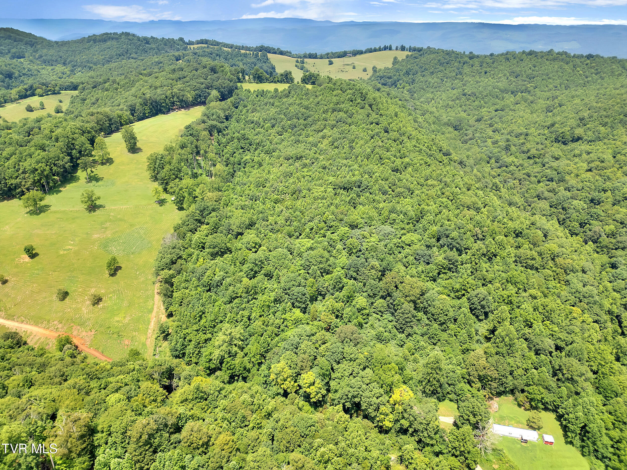 1859 Luray Road Gate City, VA 24251 - Photo 4 of 13 131