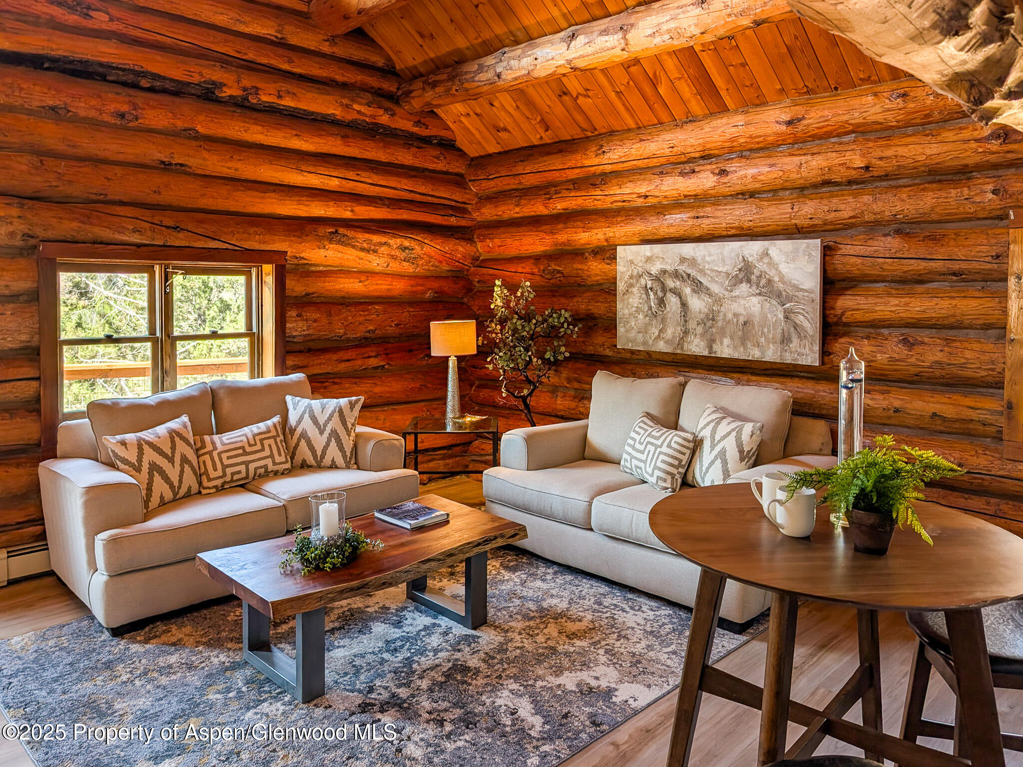 96 Apache Drive New Castle, CO 81647 - Photo 15 of 34 a living room with furniture and a wooden floor