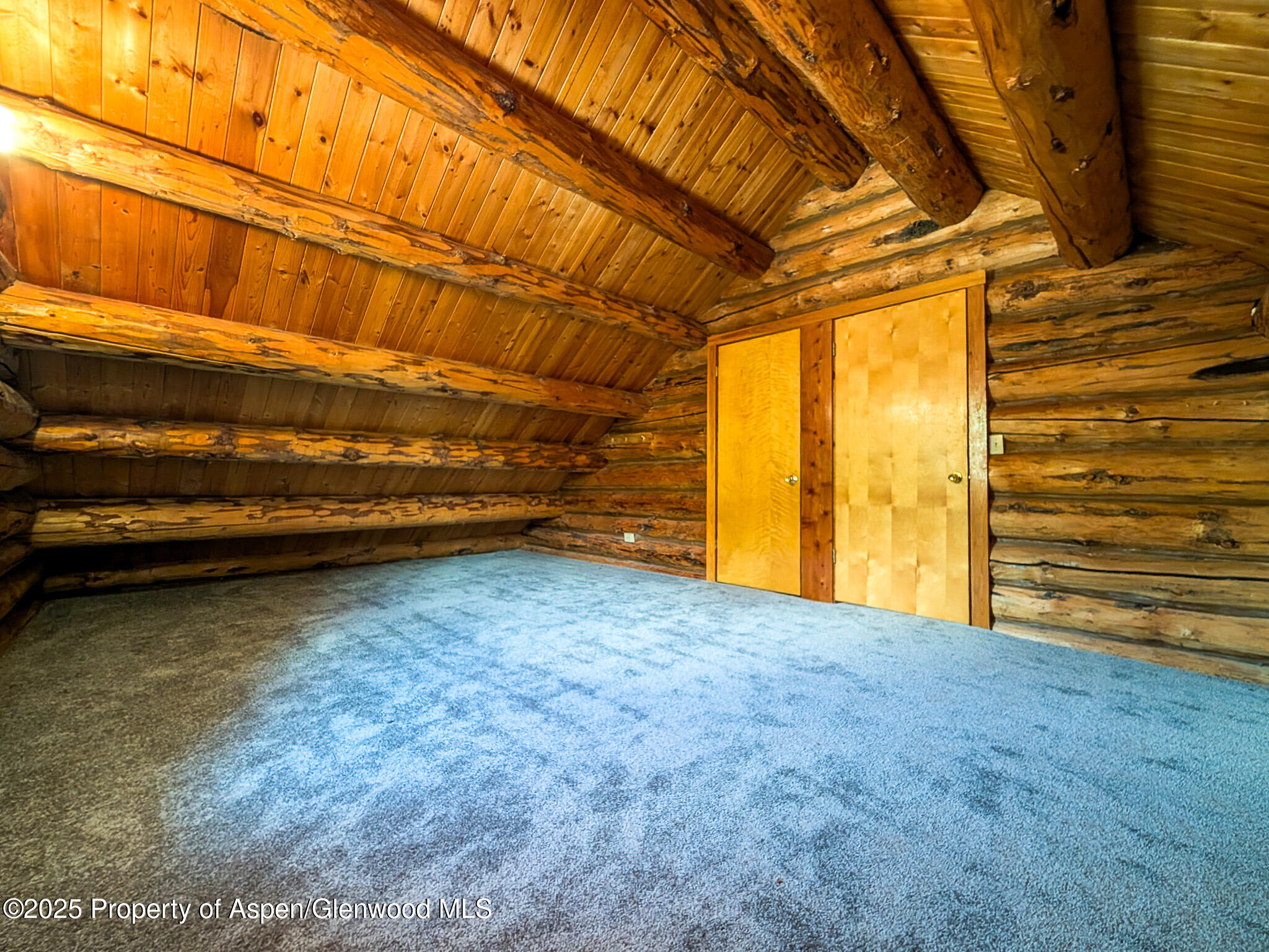 96 Apache Drive New Castle, CO 81647 - Photo 20 of 34 a view of an empty room with a door