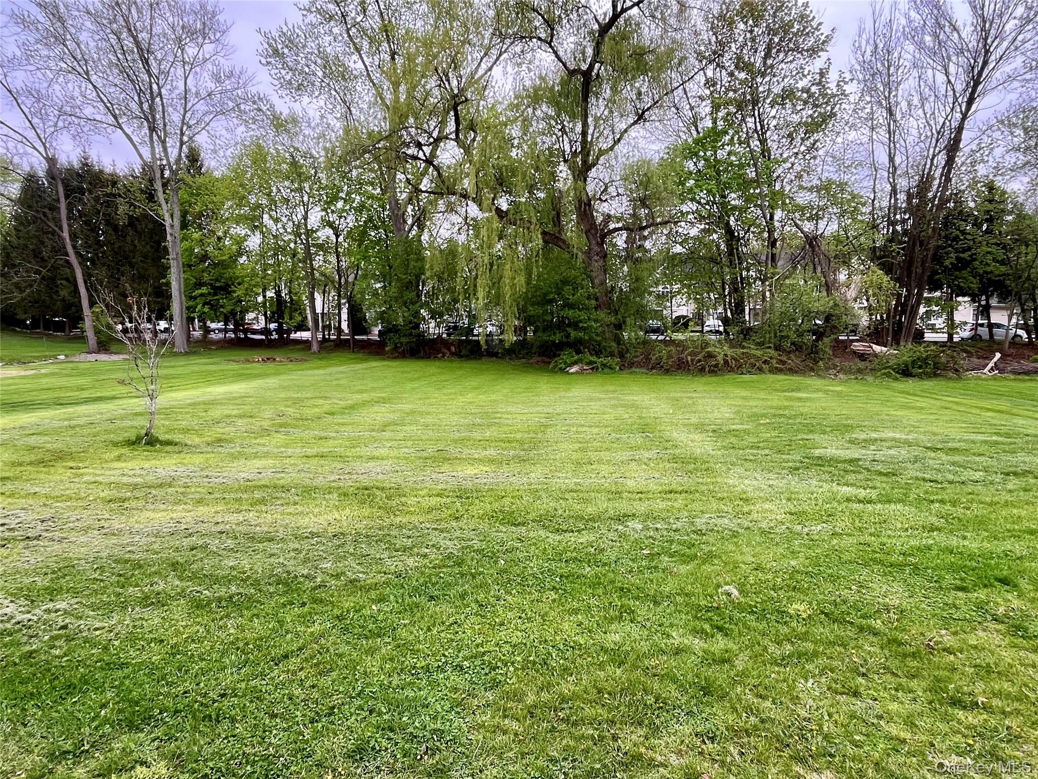 35 Spring Street Goshen, NY 10924 - Photo 23 of 26 a view of a field of grass and trees