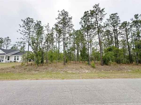 $24,500 | Tbd Northeast 150th Avenue, Williston, FL 32696