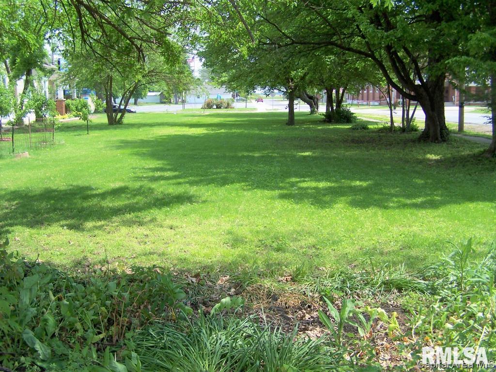 Lot #12 Springfield Street Virden, IL 62707 - Photo 1 of 4 Gallery Image 1