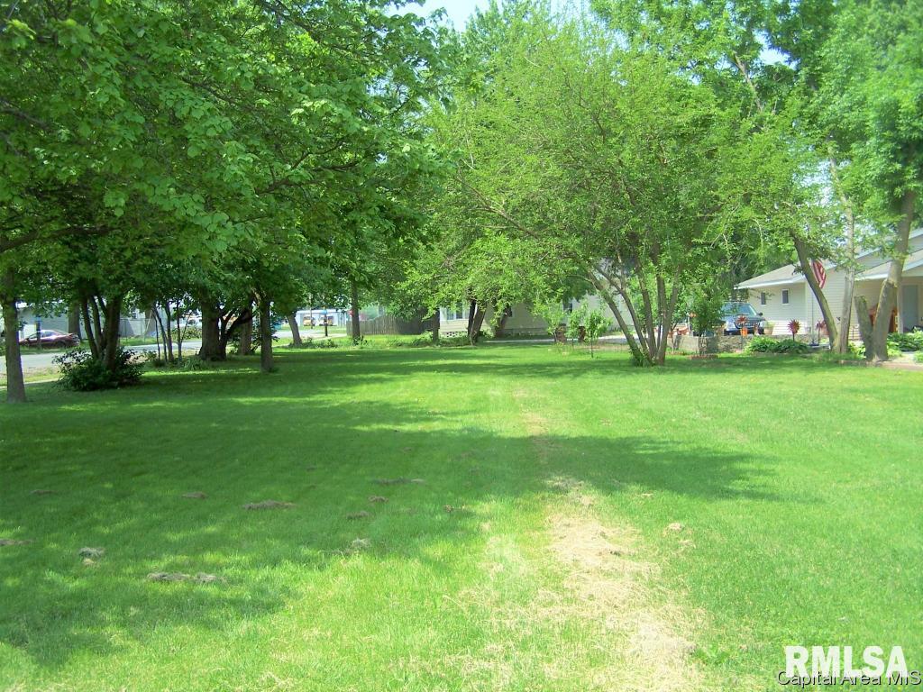 Lot #12 Springfield Street Virden, IL 62707 - Photo 2 of 4 Gallery Image 2