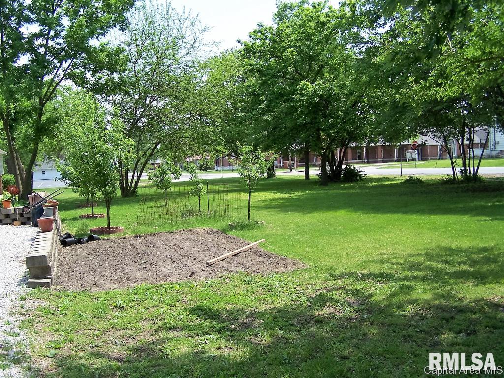 Lot #12 Springfield Street Virden, IL 62707 - Photo 4 of 4 Gallery Image 4