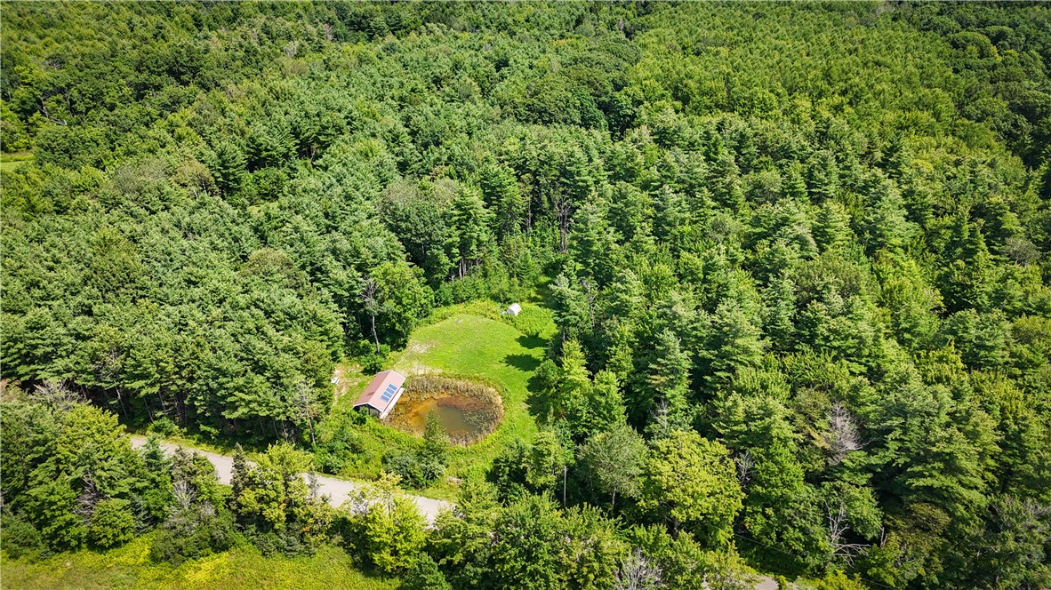 2512 Dunn Road Italy, NY 14418 - Photo 10 of 49 Gallery Image 10