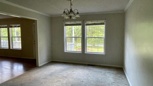 92 Tornado Road Bamberg, SC 29003 - Photo 8 of 19 Gallery Image 8