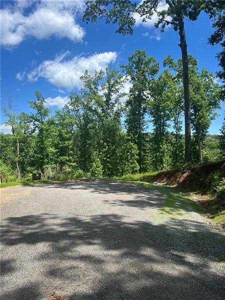 75 Hope Court Ellijay, GA 30540 - Photo 13 of 19 a view of a yard with plants and trees
