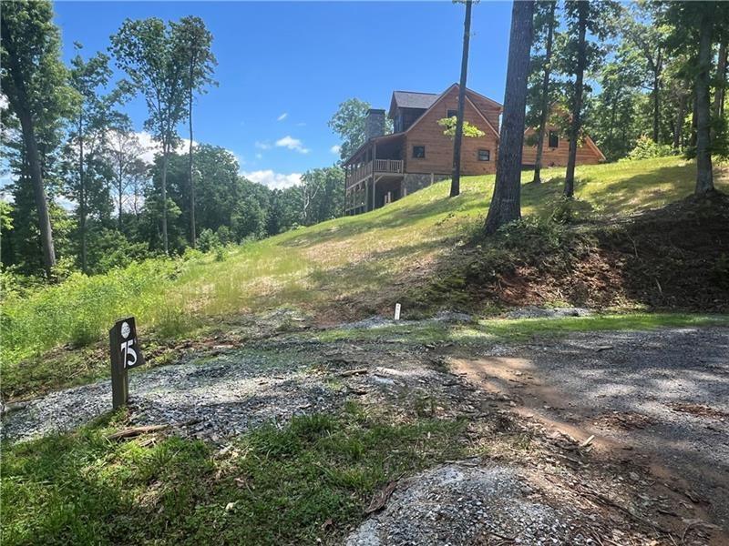 75 Hope Court Ellijay, GA 30540 - Photo 14 of 19 a view of a yard