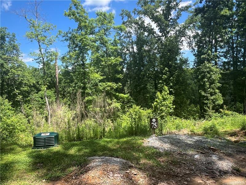 75 Hope Court Ellijay, GA 30540 - Photo 15 of 19 a view of a backyard with a garden