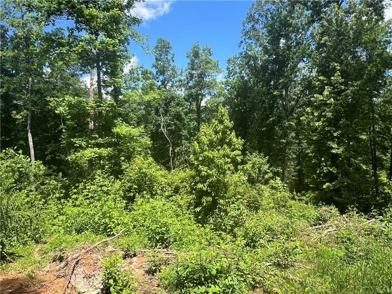 75 Hope Court Ellijay, GA 30540 - Photo 16 of 19 a view of a lush green forest