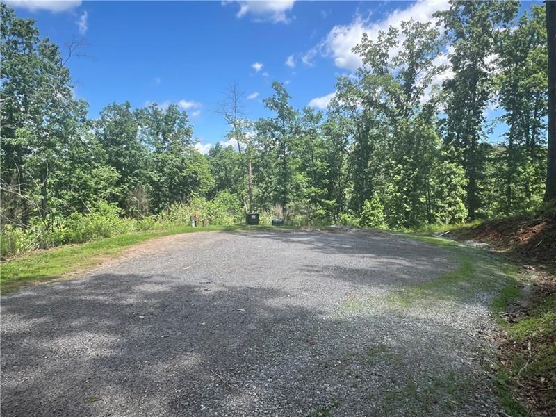 75 Hope Court Ellijay, GA 30540 - Photo 17 of 19 a view of a yard with a tree