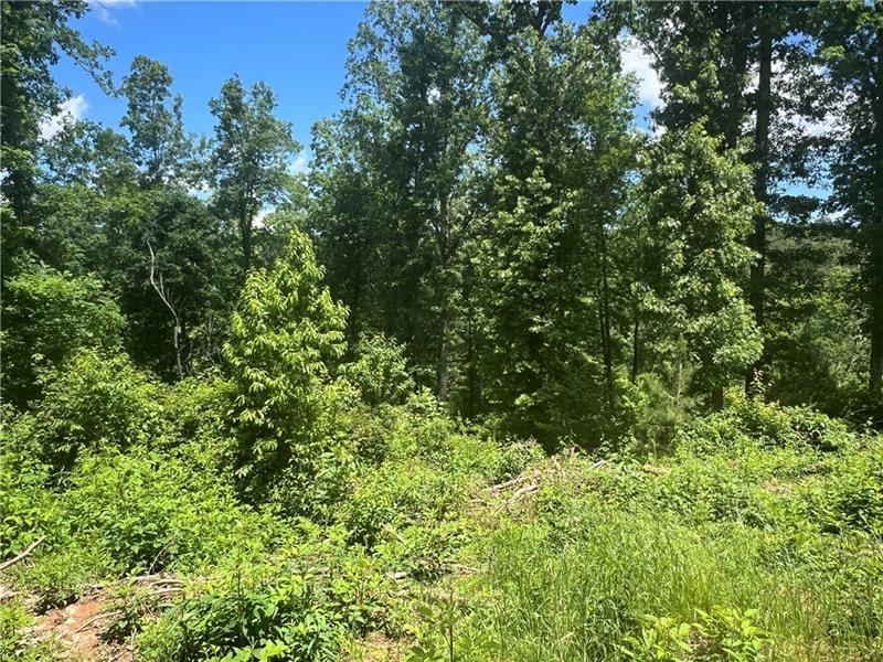 75 Hope Court Ellijay, GA 30540 - Photo 18 of 19 a view of a lush green forest