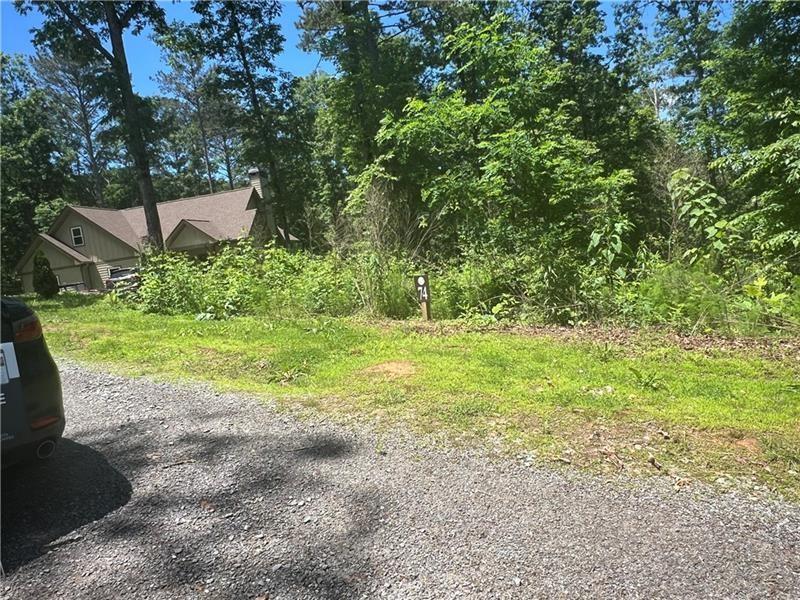 75 Hope Court Ellijay, GA 30540 - Photo 19 of 19 a view of a yard with plants and large trees