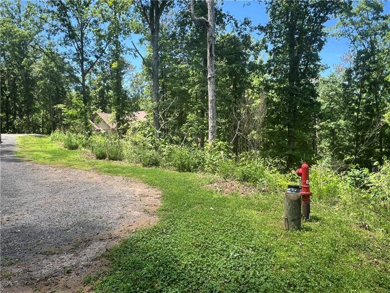 75 Hope Court Ellijay, GA 30540 - Photo 2 of 19 a green field with trees in the background