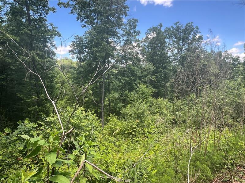 75 Hope Court Ellijay, GA 30540 - Photo 3 of 19