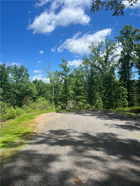 75 Hope Court Ellijay, GA 30540 - Photo 5 of 19 a view of a yard with palm trees