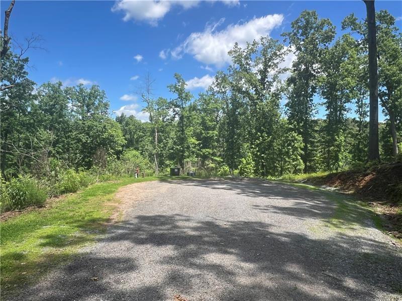 75 Hope Court Ellijay, GA 30540 - Photo 6 of 19 a view of a yard with a tree