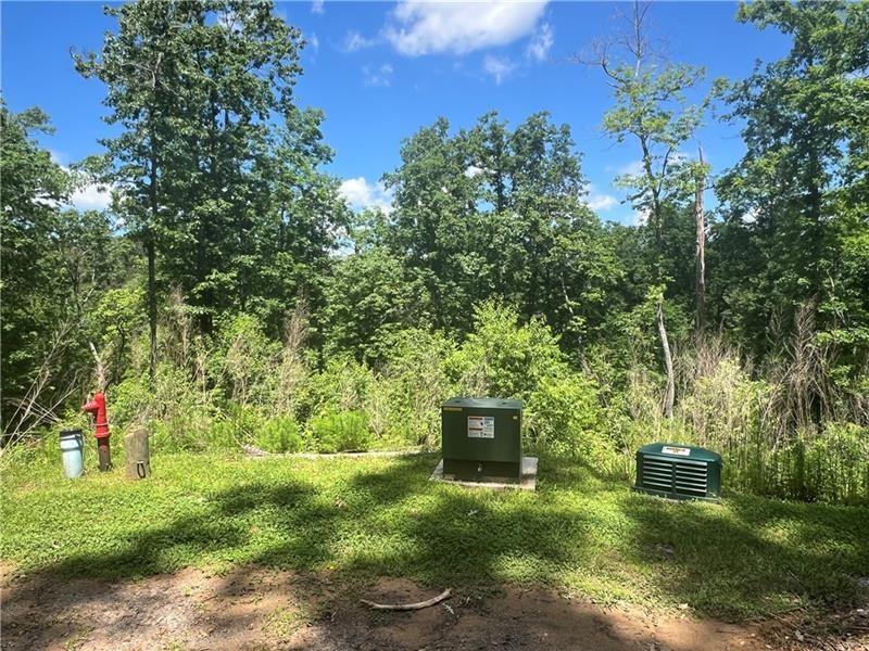 75 Hope Court Ellijay, GA 30540 - Photo 8 of 19 a view of a garden with plants