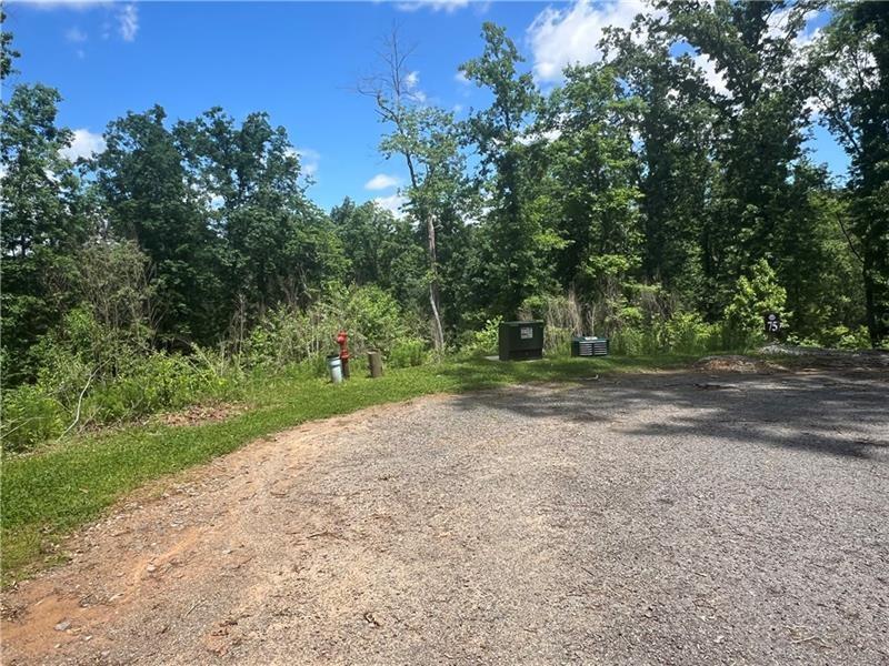 75 Hope Court Ellijay, GA 30540 - Photo 9 of 19 a view of backyard with green space