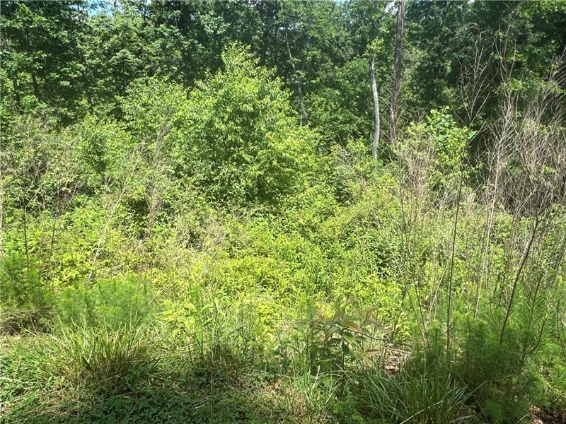 75 Hope Court Ellijay, GA 30540 - Photo 10 of 19 a view of a lush green forest