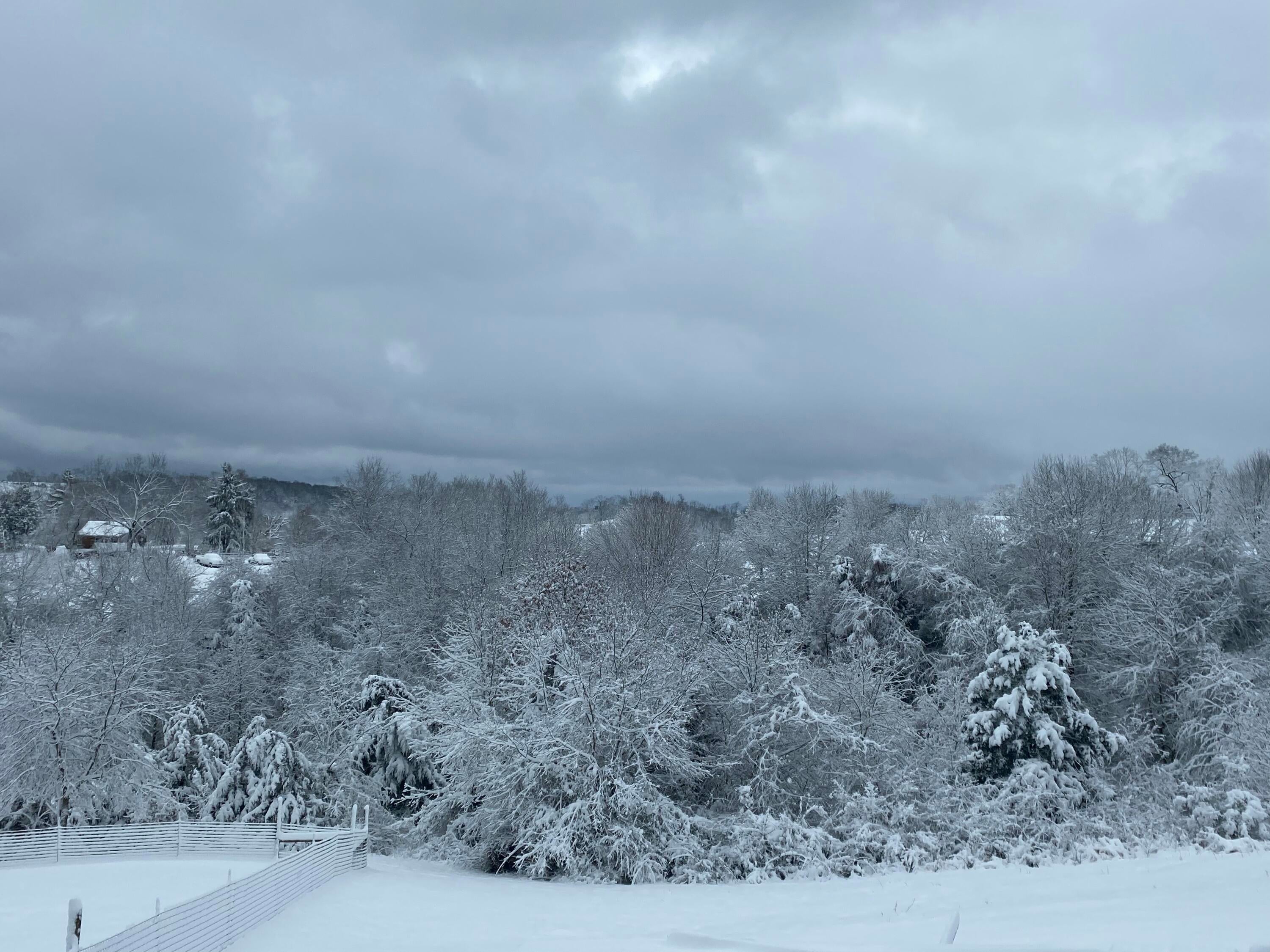 164 Charles Masters Road Ronceverte, WV 24970 - Photo 64 of 73 Winter views