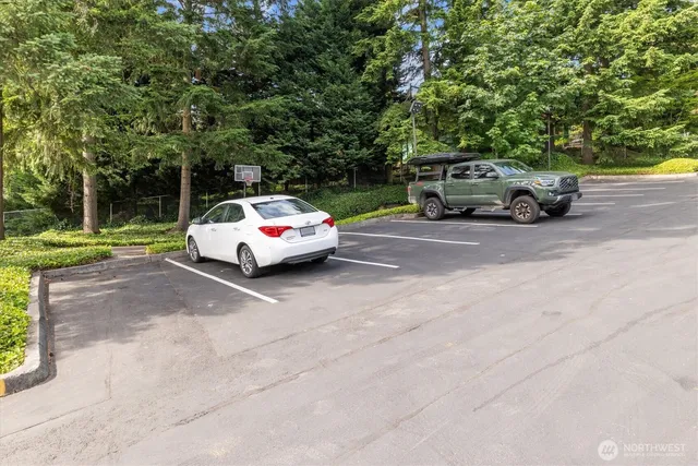 a view of a plants with potted plants
