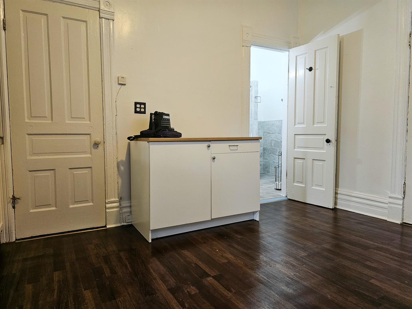 2739 West 16th Street, Unit 1R Chicago, IL 60608 - Photo 4 of 15