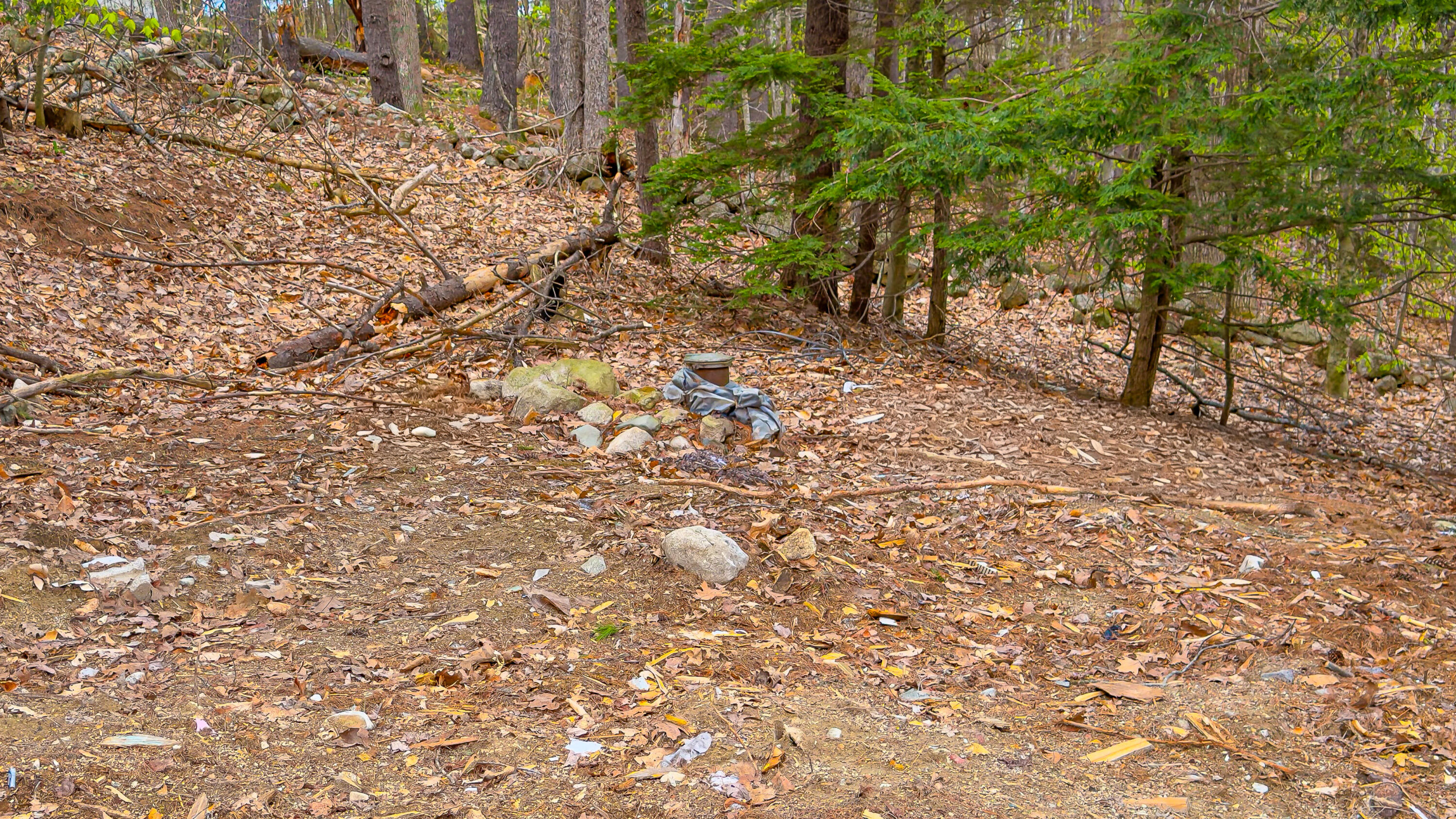 180 Bolsters Mills Road Otisfield, ME 04270 - Photo 23 of 24 180 Bolster Mills Road-44