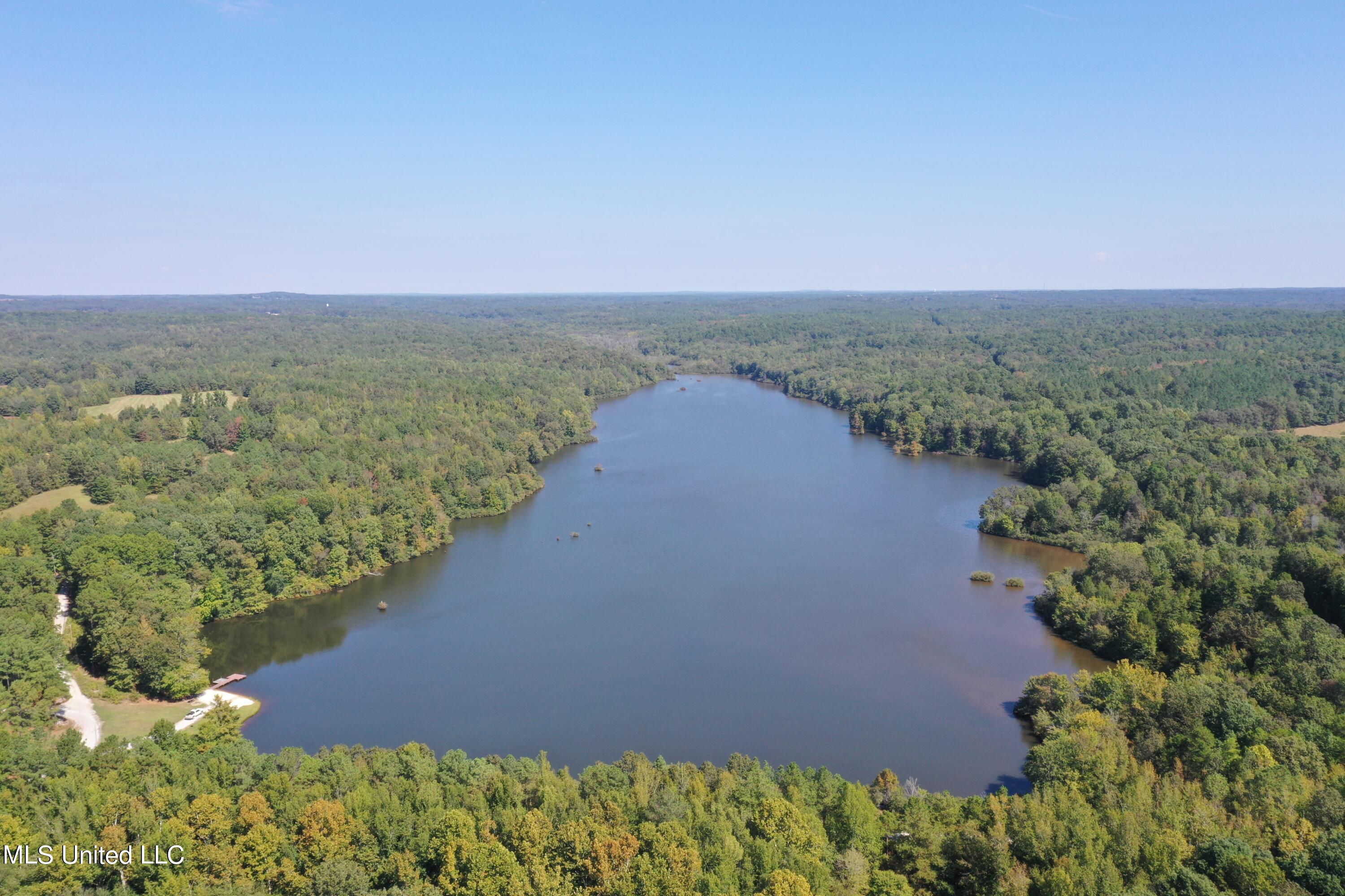 588 McGaughy Road Holly Springs, MS 38635 - Photo 1 of 101 DJI_0312