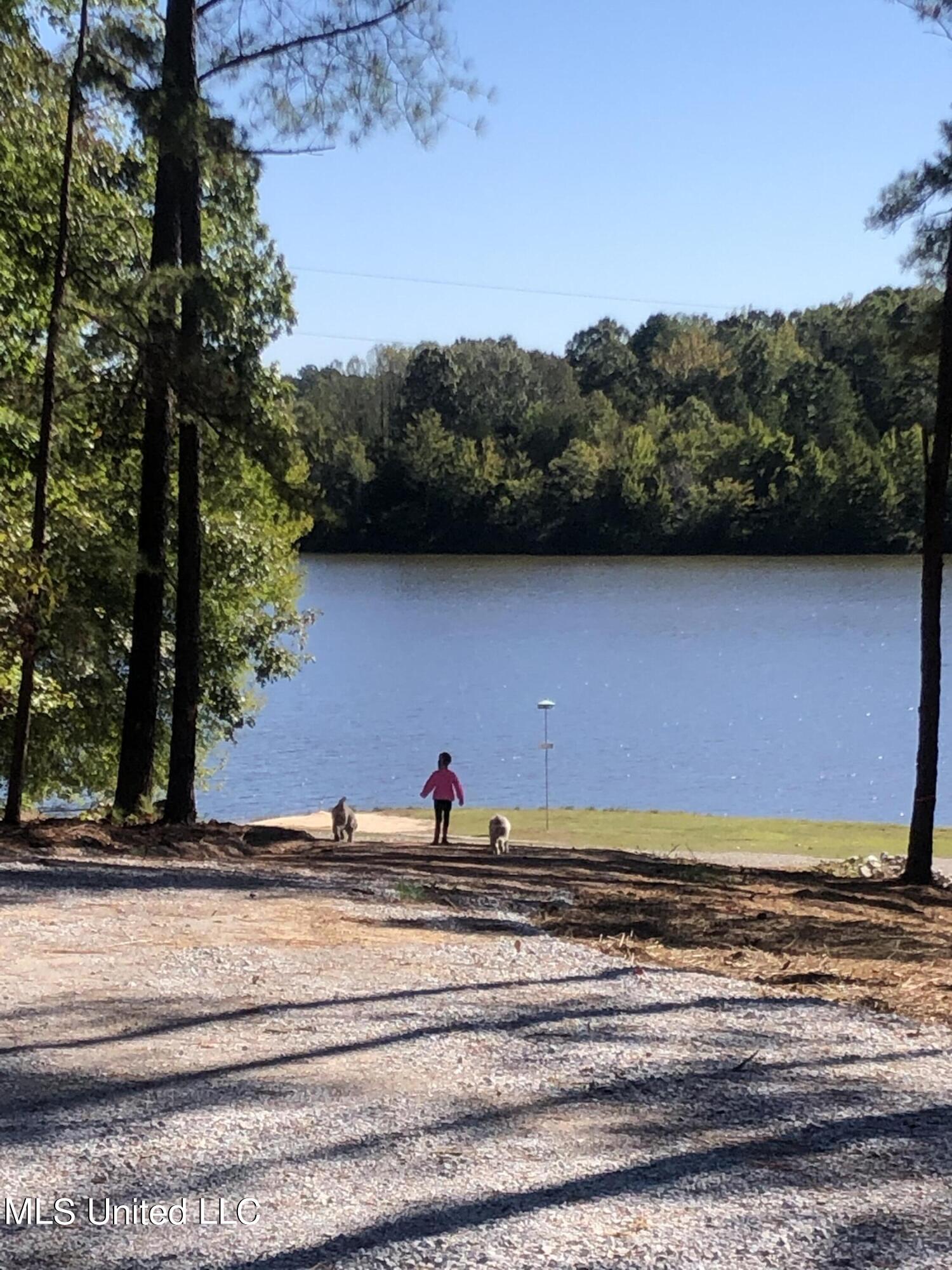 588 McGaughy Road Holly Springs, MS 38635 - Photo 101 of 101 IMG_9412