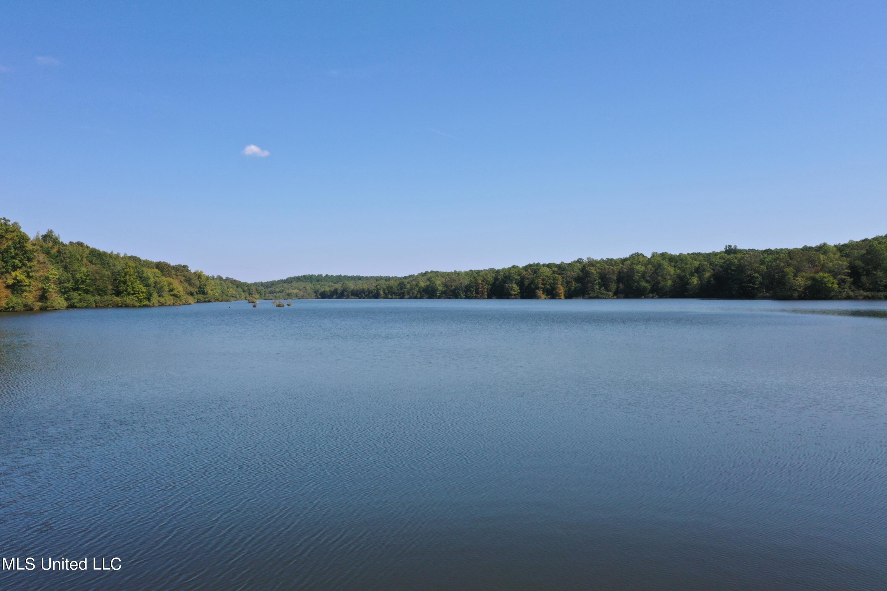 588 McGaughy Road Holly Springs, MS 38635 - Photo 28 of 101 DJI_0309