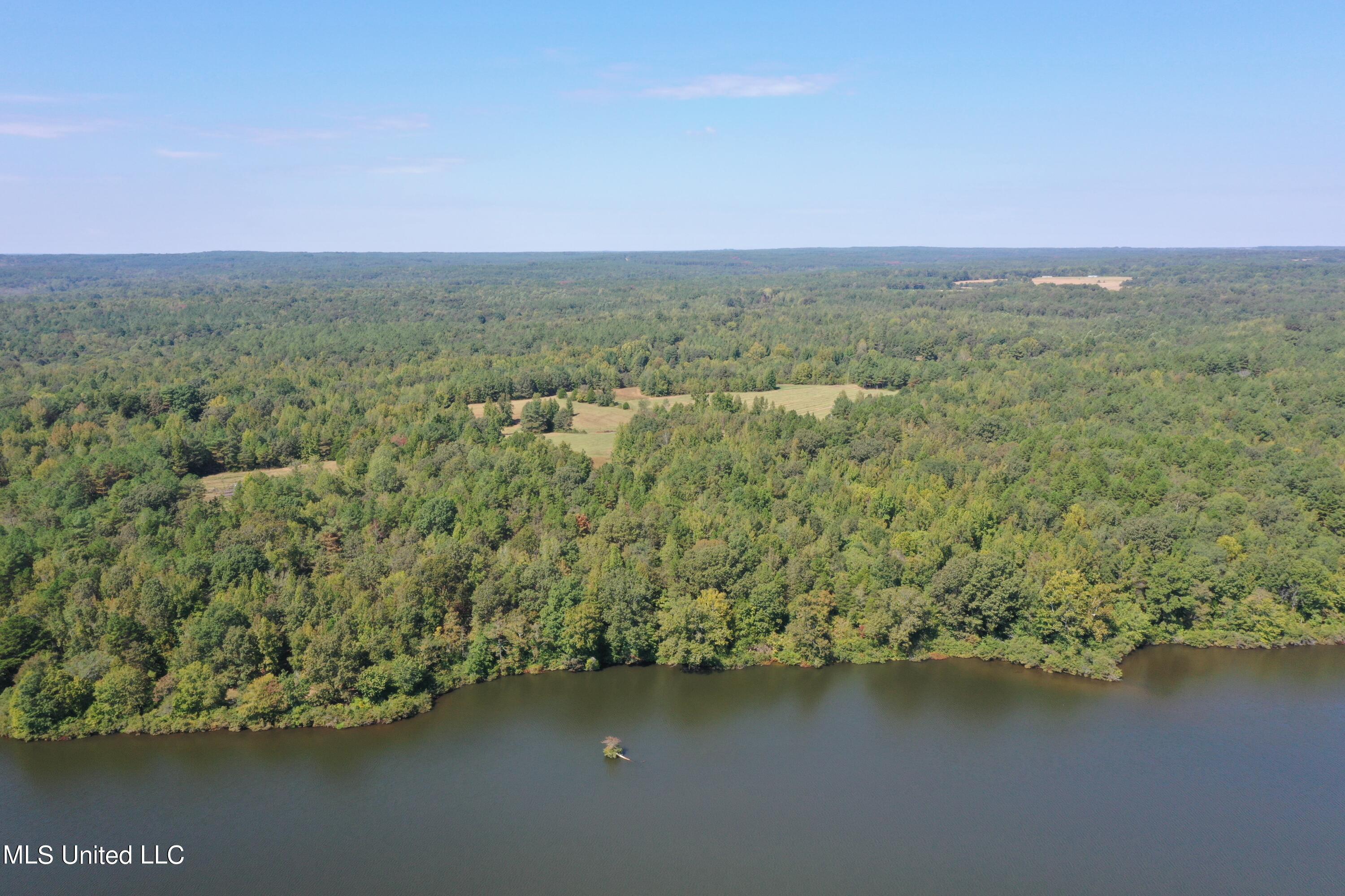 588 McGaughy Road Holly Springs, MS 38635 - Photo 34 of 101 DJI_0315