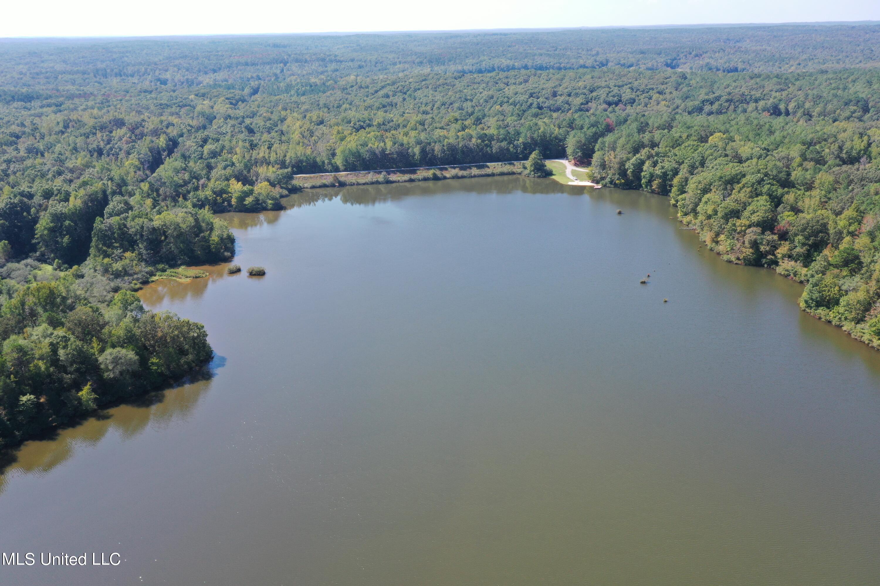 588 McGaughy Road Holly Springs, MS 38635 - Photo 35 of 101 lake
