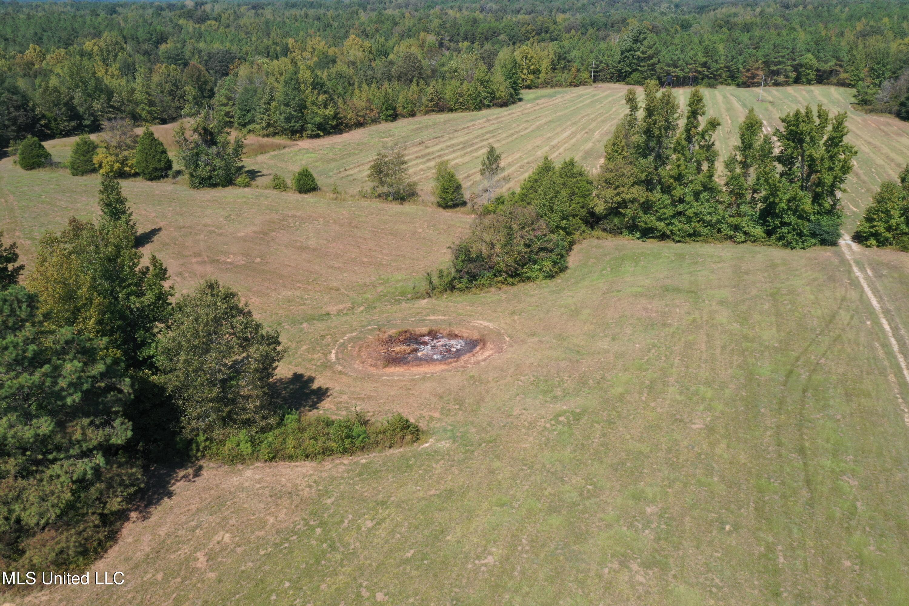 588 McGaughy Road Holly Springs, MS 38635 - Photo 36 of 101 DJI_0330