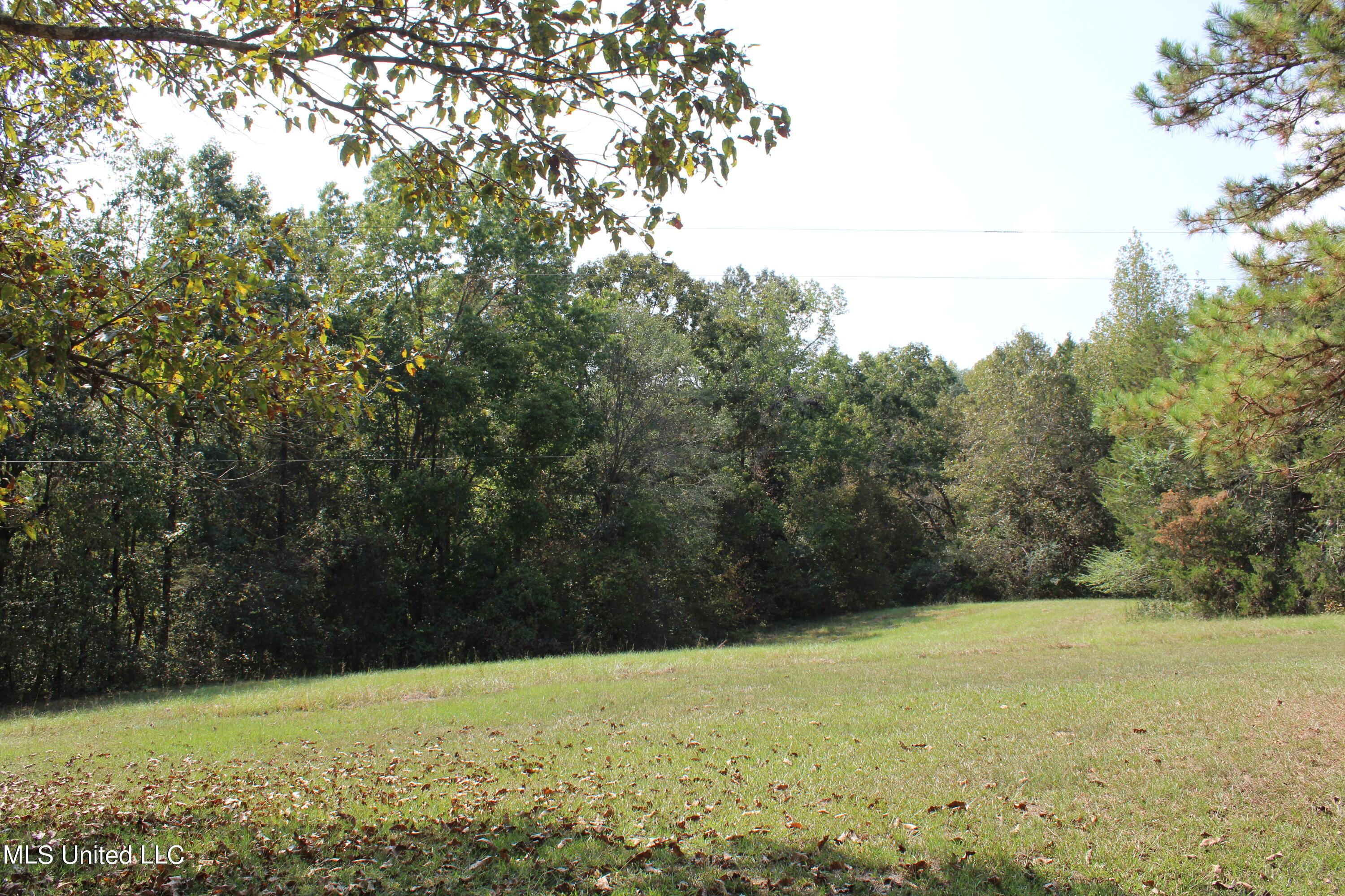 588 McGaughy Road Holly Springs, MS 38635 - Photo 39 of 101 IMG_2306