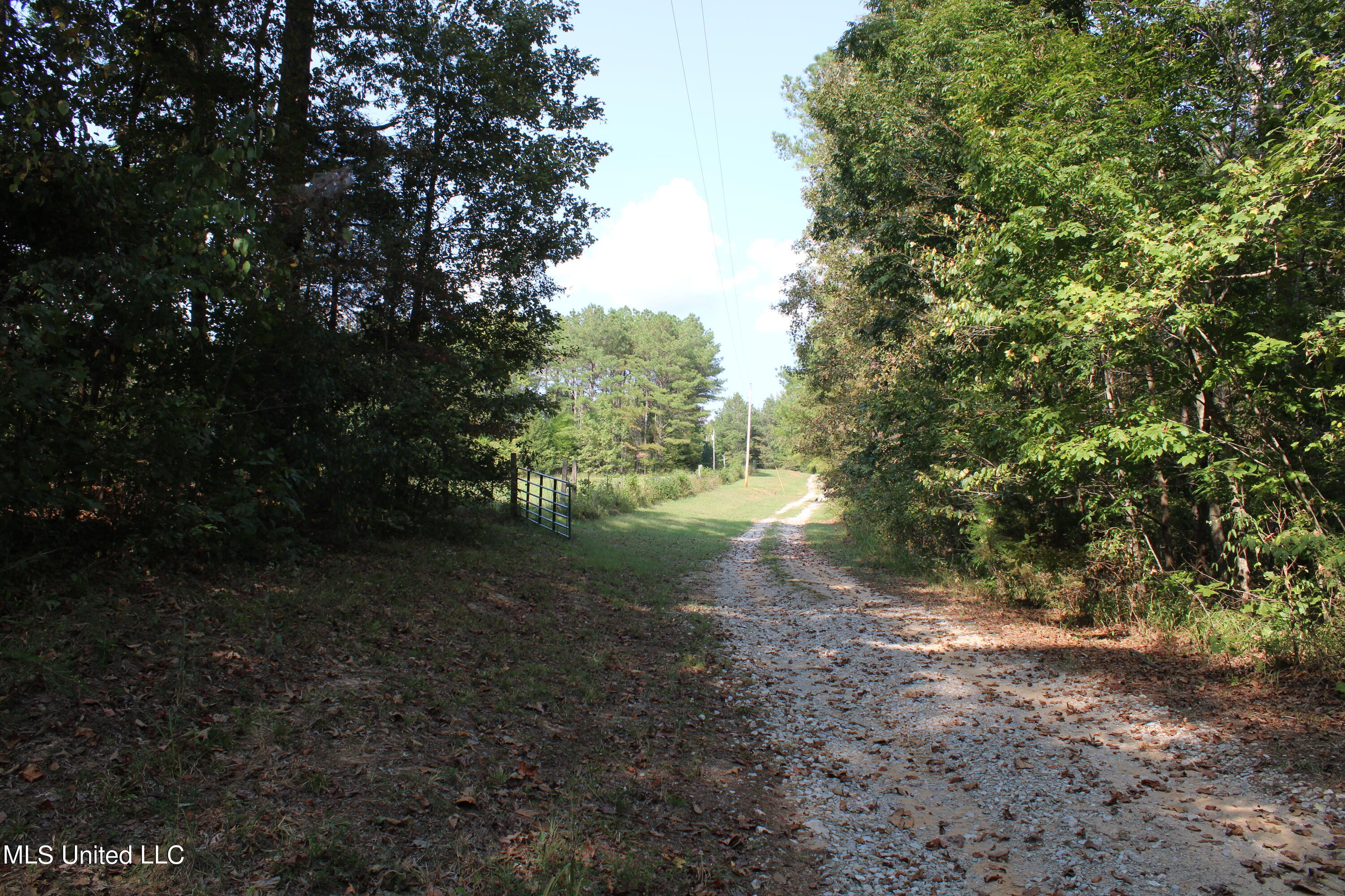 588 McGaughy Road Holly Springs, MS 38635 - Photo 50 of 101 IMG_2367
