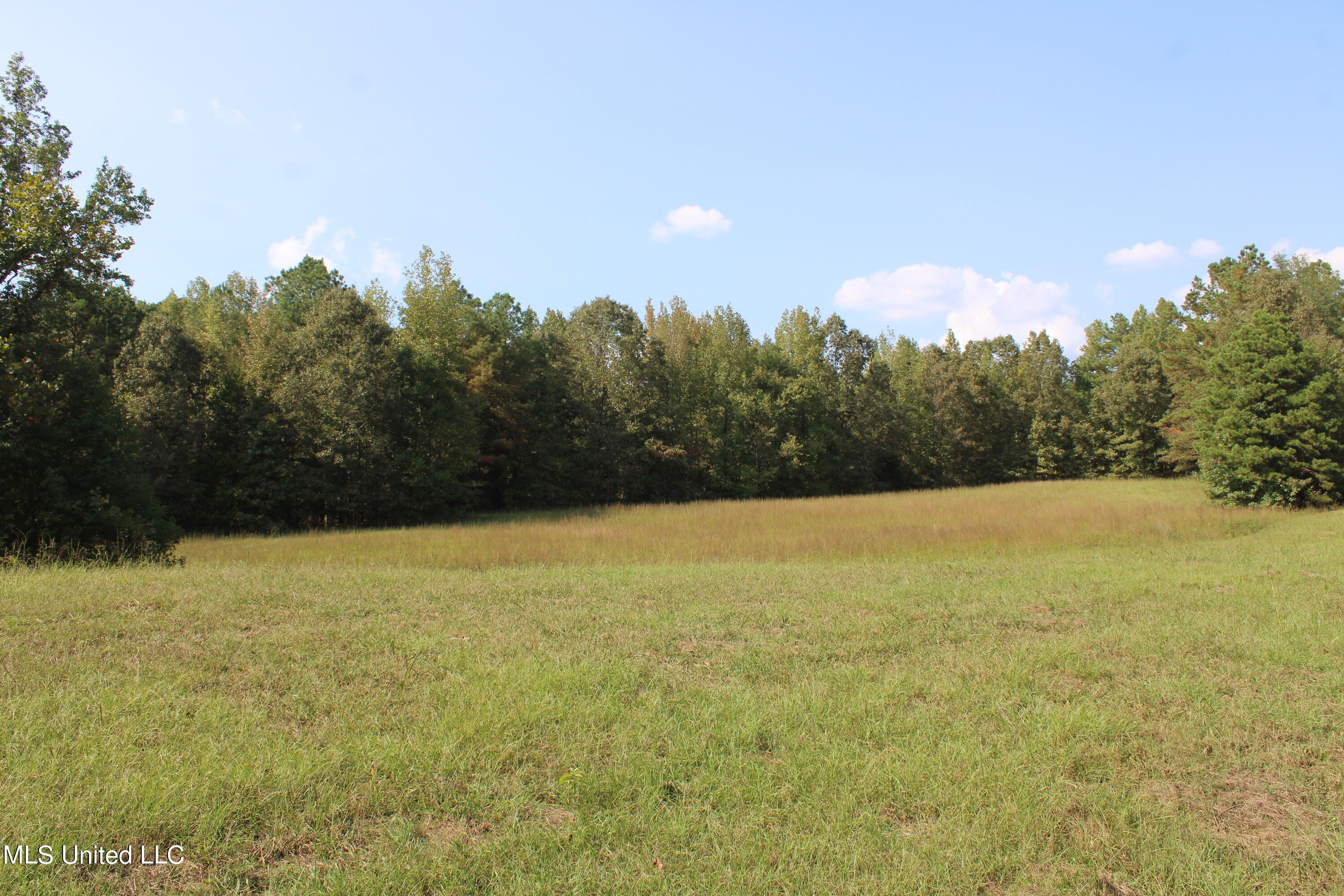 588 McGaughy Road Holly Springs, MS 38635 - Photo 51 of 101 IMG_2368