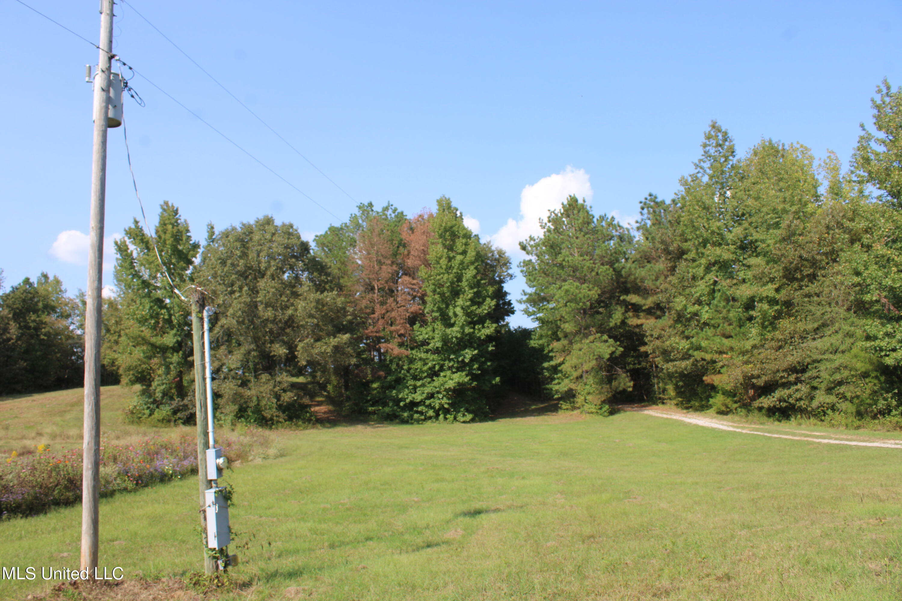 588 McGaughy Road Holly Springs, MS 38635 - Photo 53 of 101 IMG_2371
