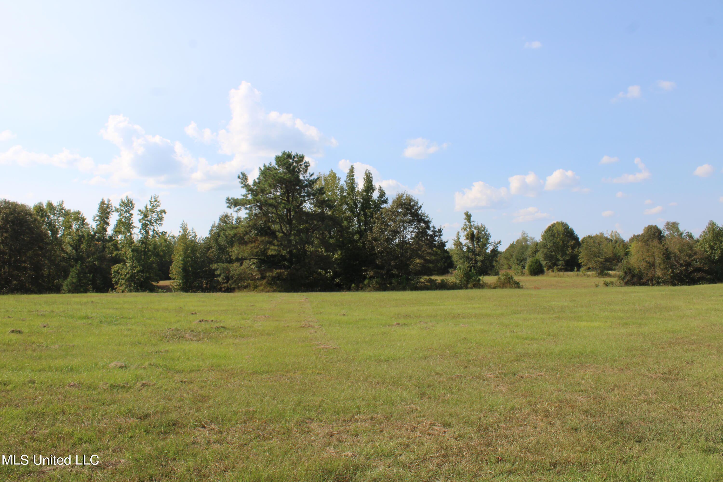 588 McGaughy Road Holly Springs, MS 38635 - Photo 54 of 101 IMG_2373