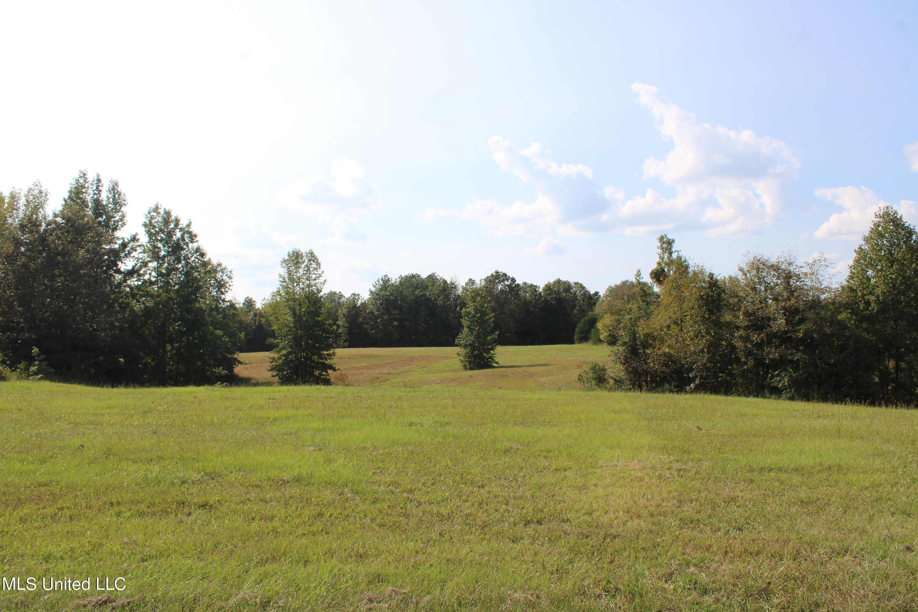 588 McGaughy Road Holly Springs, MS 38635 - Photo 57 of 101 IMG_2378