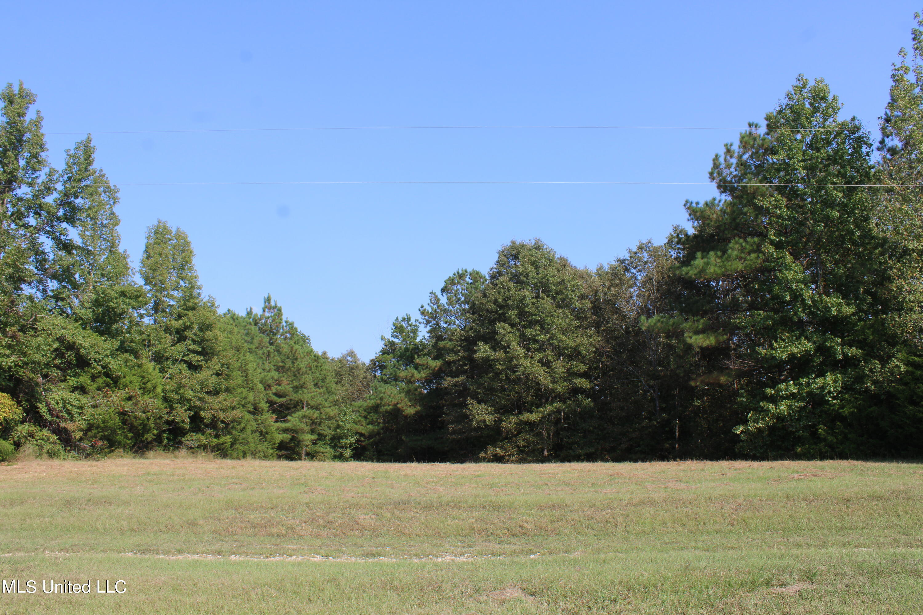 588 McGaughy Road Holly Springs, MS 38635 - Photo 58 of 101 IMG_2379