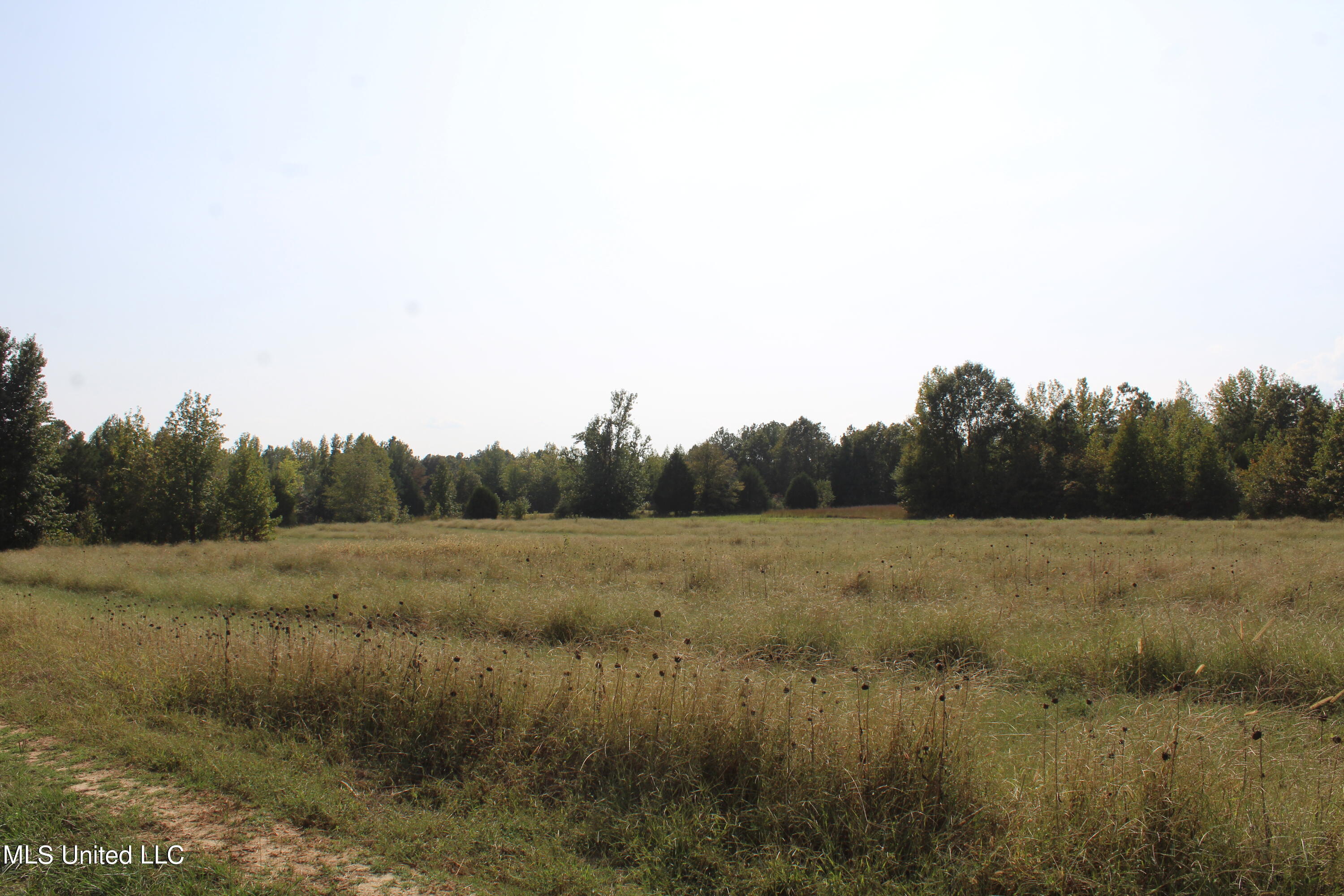 588 McGaughy Road Holly Springs, MS 38635 - Photo 59 of 101 IMG_2381