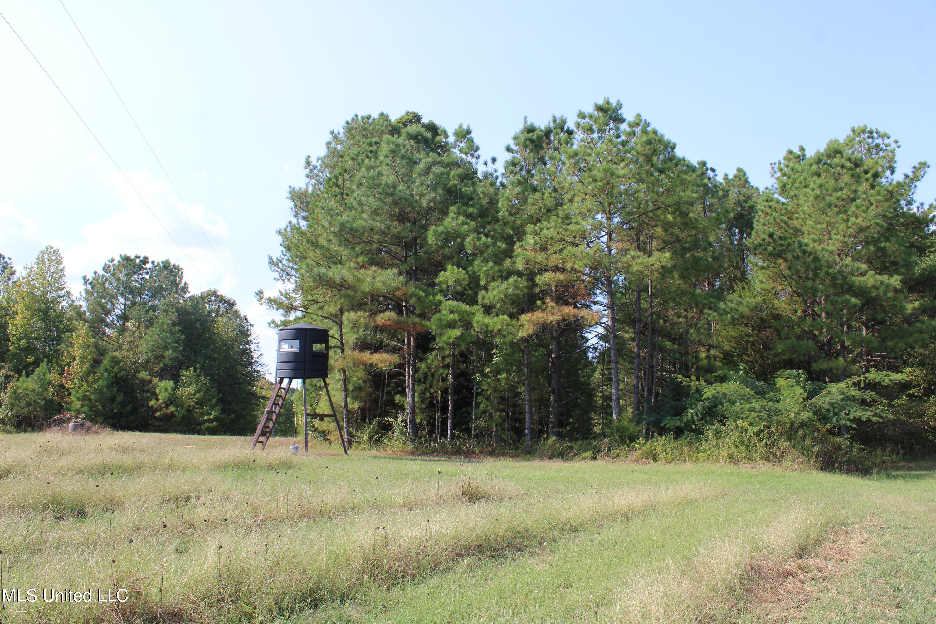 588 McGaughy Road Holly Springs, MS 38635 - Photo 61 of 101 IMG_2382